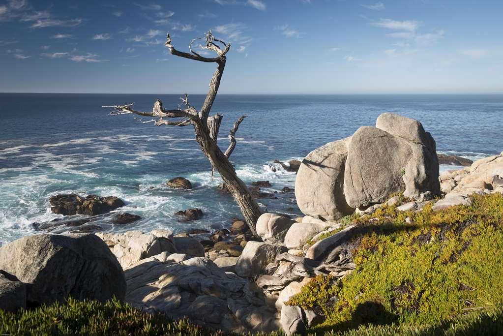 Inn At Spanish Bay Pebble Beach エクステリア 写真