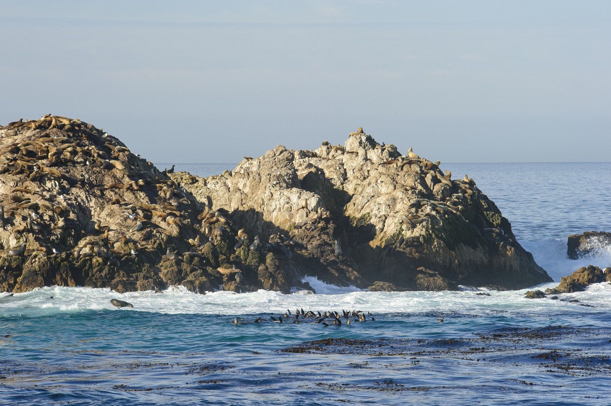 Inn At Spanish Bay Pebble Beach エクステリア 写真